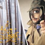 Solo il 2% delle persone riesce a trovare uno scoiattolo